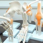 医師や他の専門家との連携のアイキャッチ